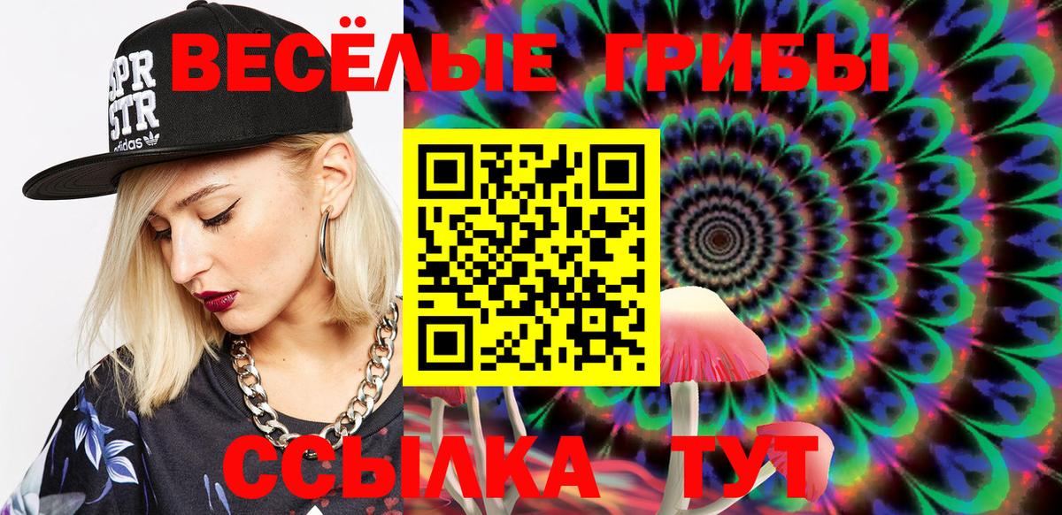 Псилоцибиновые грибы Cubensis Людиново