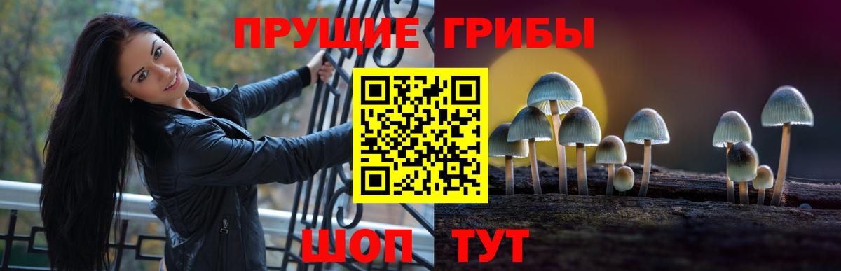 Псилоцибиновые грибы ЛСД  Вход с VPN  Людиново  Галлюциногенные грибы GOLDEN TEACHER 